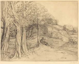 Solitude (Landscape)