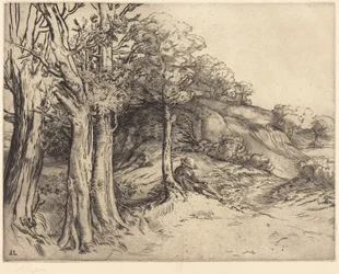 Solitude (Landscape)