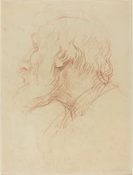Study of a Beggar