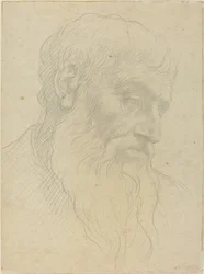 Study of a Head