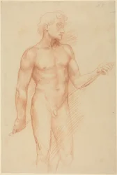 Study of a Man