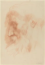 Study of a Man