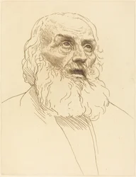 Study of an Old Man