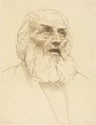 Study of an Old Man