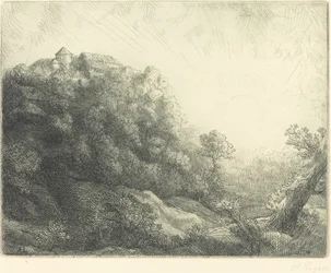 Sunrise (Autumn)