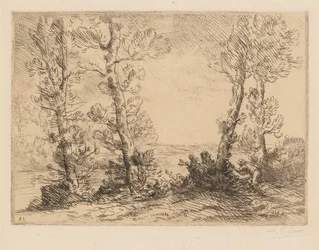 The Salmon Fisherman