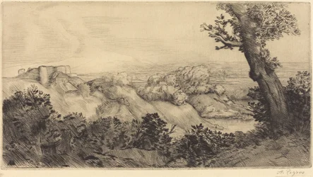 Top of the Hill