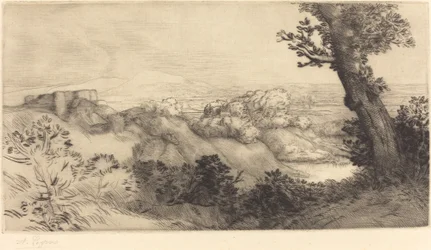 Top of the Hill