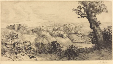 Top of the Hill