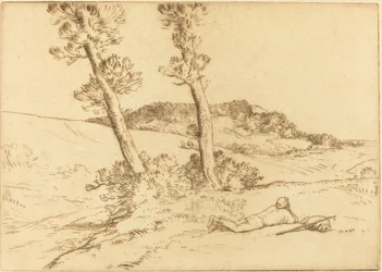 Traveler Reclining on the Grass
