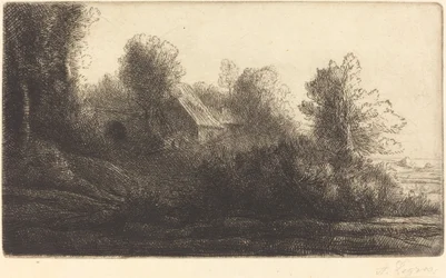 View of a Farm