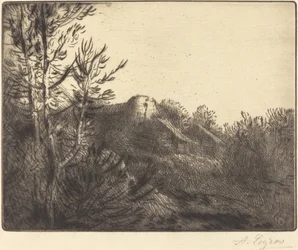 View of a Farm
