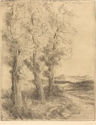 Woman Reading: Lesson under the Trees