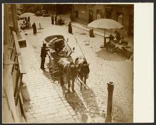 View from the Window of Mucha