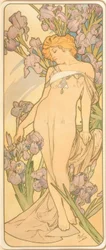 The Iris
