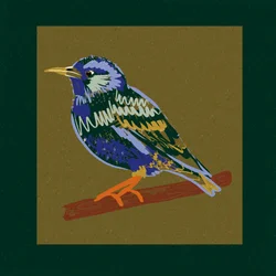 Vibrant Starling Perch