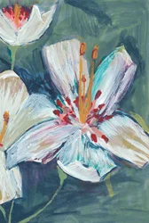 Vibrant White Lily Blooms