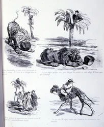 Illustration for The Art of fattening and losing weight