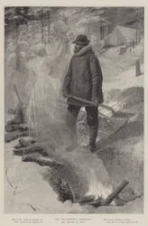 The Gold-Seeker