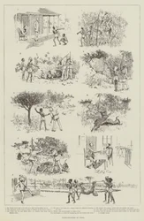 Tiger-Shooting in India