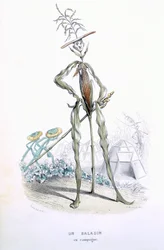 A Country Stroller, from The Empire of Vegetables, Memoirs of Curcurbitus