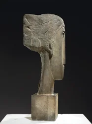 Head