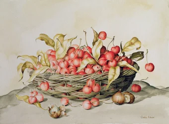 Basket of Cherries
