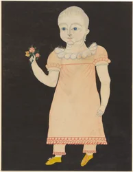 Baby in Pink Dress with Roses