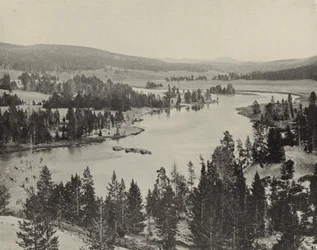 Hayden Valley, Yellowstone National Park