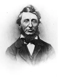Henry Thoreau
