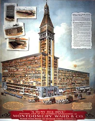 A Busy Bee Hive: Sectional view of the enormous establishment of Montgomery Ward & Co