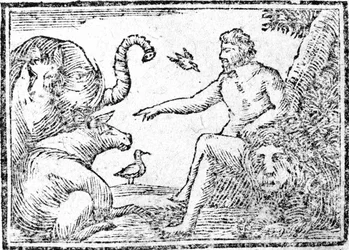 Adam naming the animals, illustration from An Abridgement of the History of the Holy Bible, published 1794