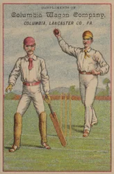 American Cricket