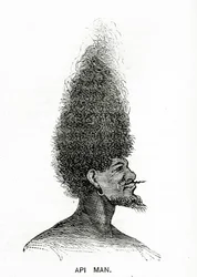 Api Man, Illustration from Appletons Journal, May 4, 1872