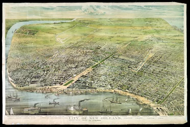 Birds Eye View of New Orleans and Suburbs, 1873