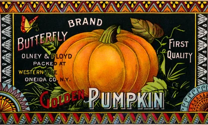 Butterfly Golden Pumpkin Product Label