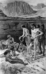 Cabeza de Vaca and His Companions