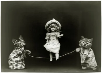Cat curiosity, 1891