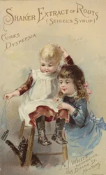 Children Teasing Cat