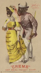 Chimpanzees in Clothes