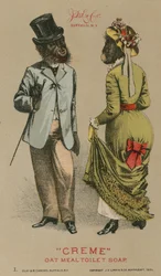 Chimps in Fashionable Clothing
