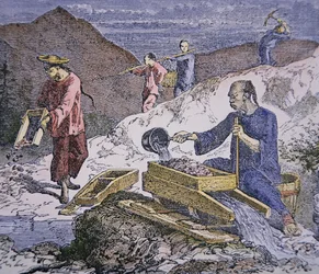 Chinese Immigrants working on the gold fields