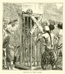 Death in the cage