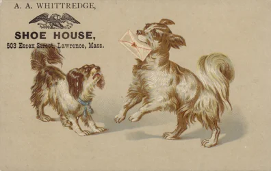 Dog Holding Letter in Mouth