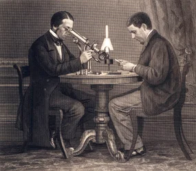Early Scientists Looking Through Microscopes