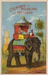 Elephant Ride