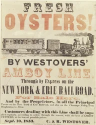 Fresh Oysters! By Westovers Amboy Line, Through by Express on the New York & Erie Railroad