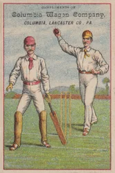 Game of cricket