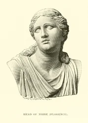 Head of Niobe, Florence
