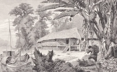 House of a Wealthy India-Rubber Collector (from 